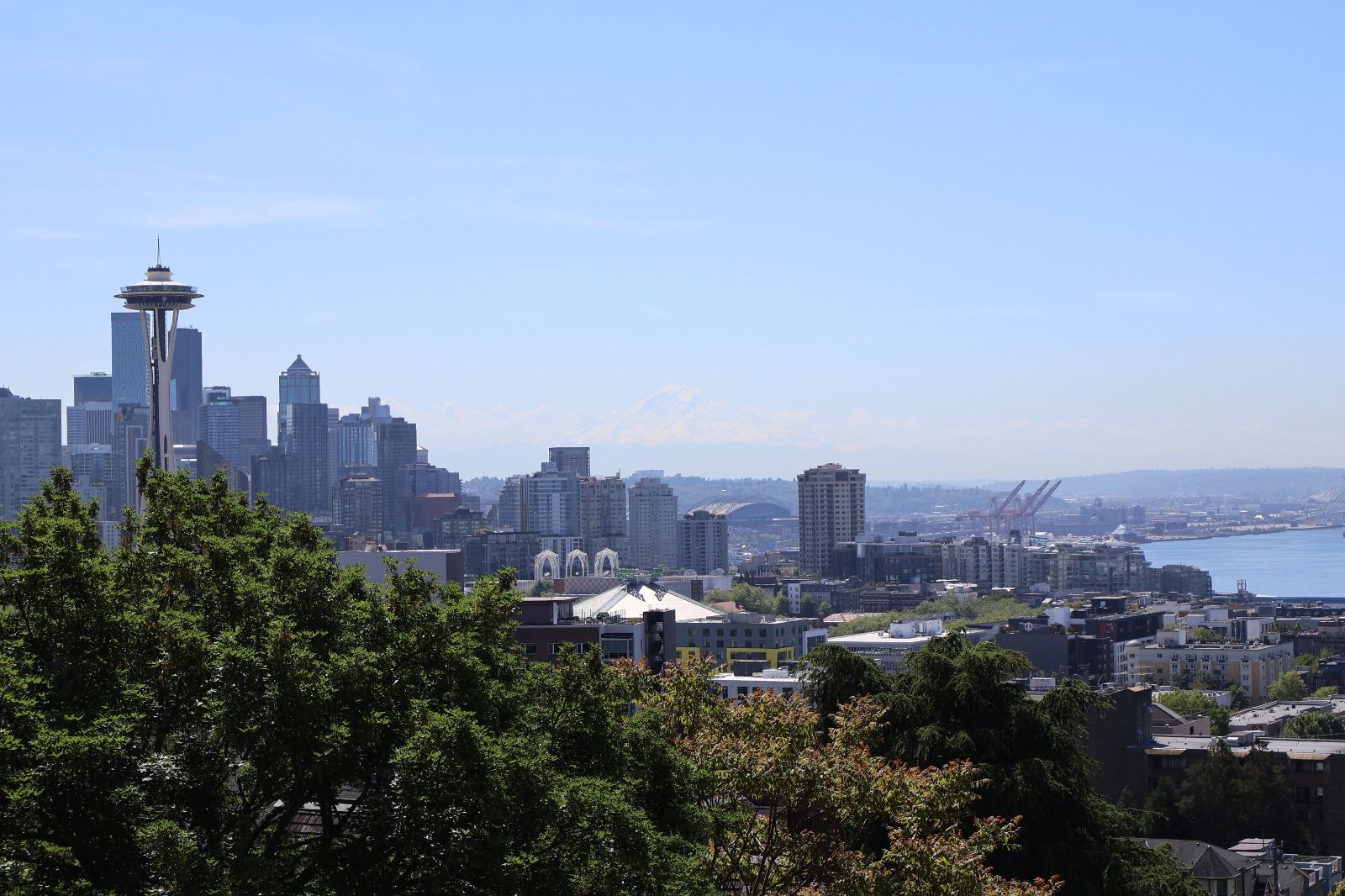 Paisaje de Seattle visto durante el tour privado en español